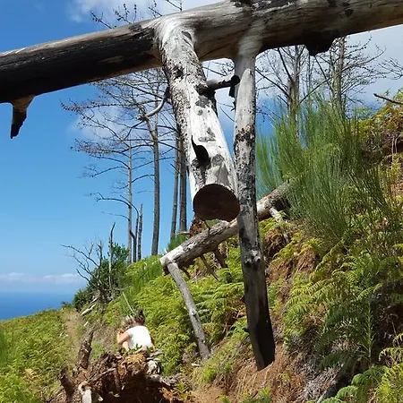 Casa Franco * Ponta do Pargo