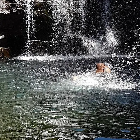 Casa Franco Tatil Evi *