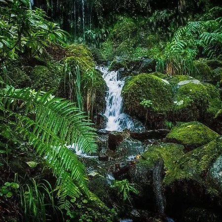 Casa Franco Tatil Evi *
