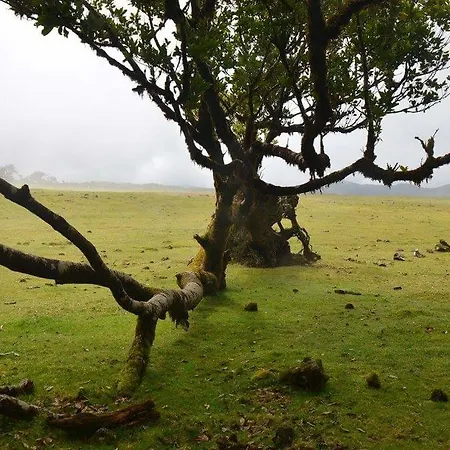 Casa Franco Tatil Evi *