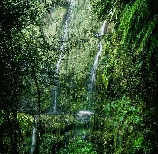 Ferienhaus Casa Franco Ponta do Pargo