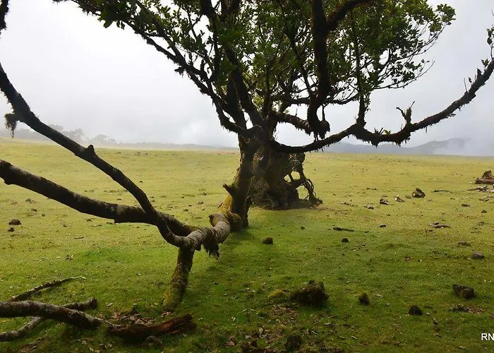 Casa Franco Ferienhaus *