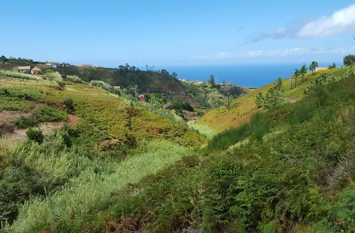 Casa Franco 蓬塔杜帕戈