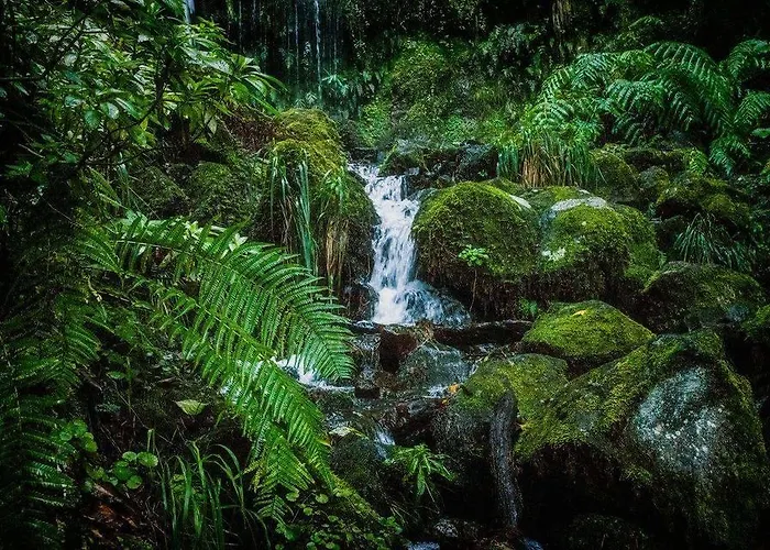 Casa Franco 度假居 *